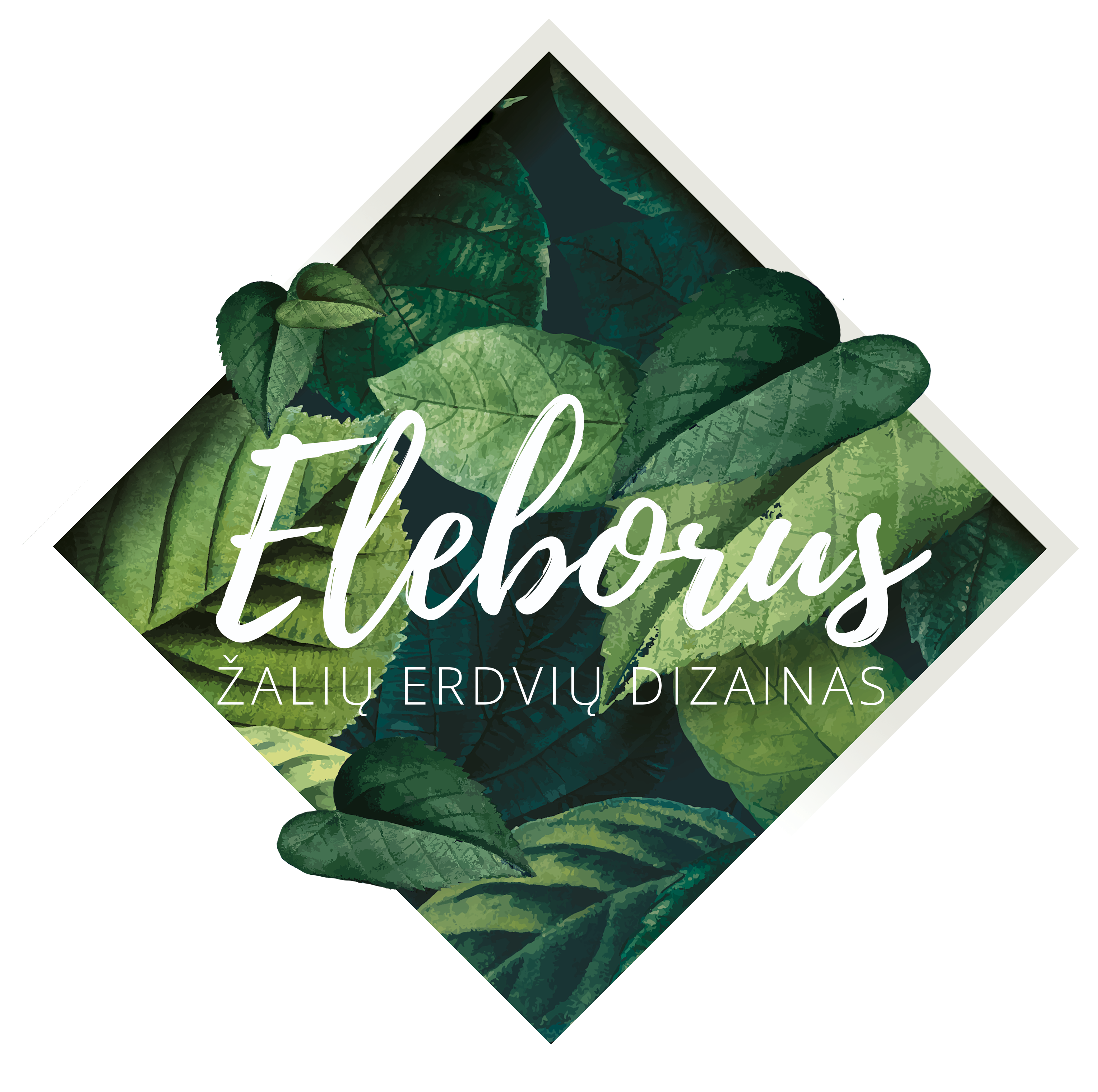 Elebores